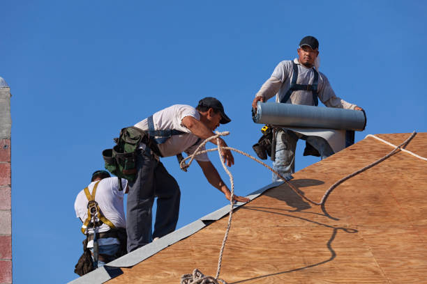 Professional Roofing Contractor in Emeryville, CA